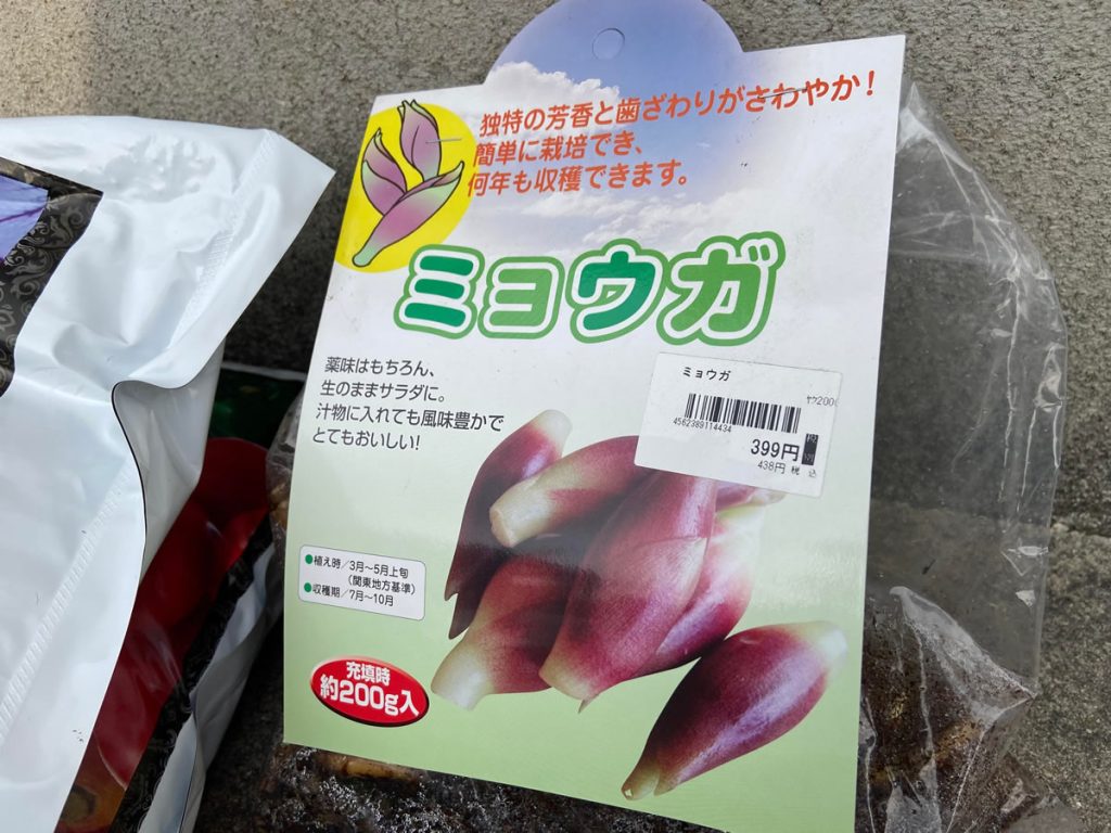 プランター みょうが　ミョウガ 袋栽培 自家菜園 家庭菜園 液体肥料 比較 初心者 野菜 果実 植え方 種 苗