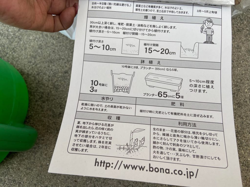 プランター みょうが　ミョウガ 袋栽培 自家菜園 家庭菜園 液体肥料 比較 初心者 野菜 果実 植え方 種 苗