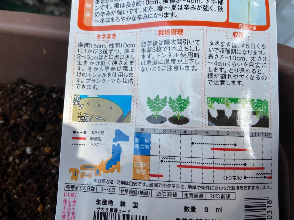辛味大根 種 プランター