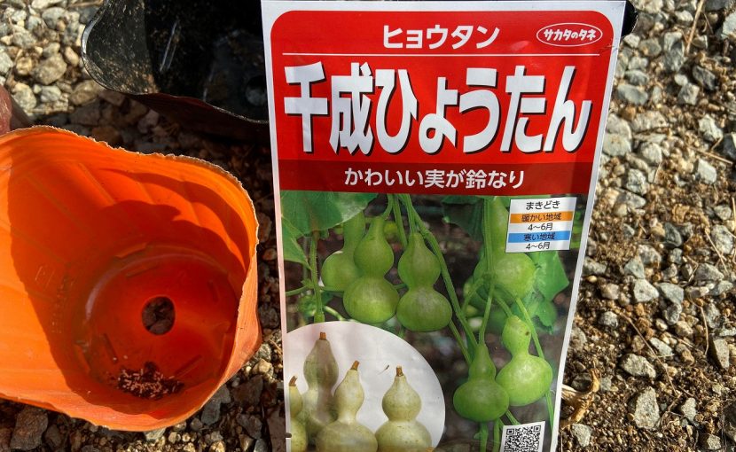 袋栽培 自家菜園 家庭菜園 液体肥料 比較 初心者 野菜 果実 植え方 種 苗