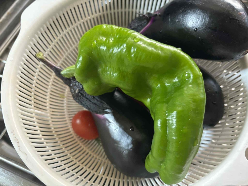 おうちガーデン 自家菜園 家庭菜園　ピーマン　夏野菜